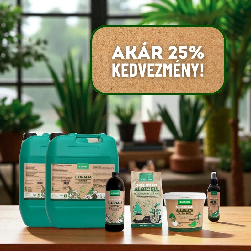szobanövény árakció