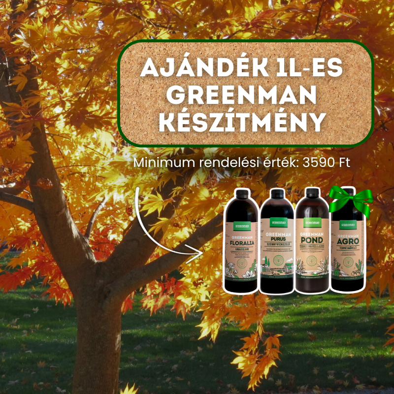 Ajándék Greenman készítmény